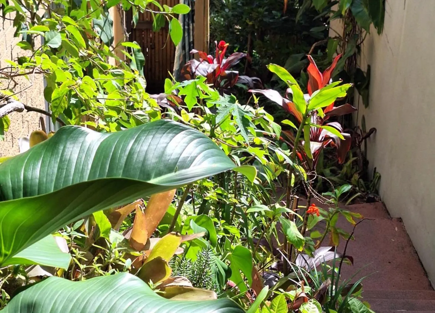 Apartamento WategosRent Byron Bay